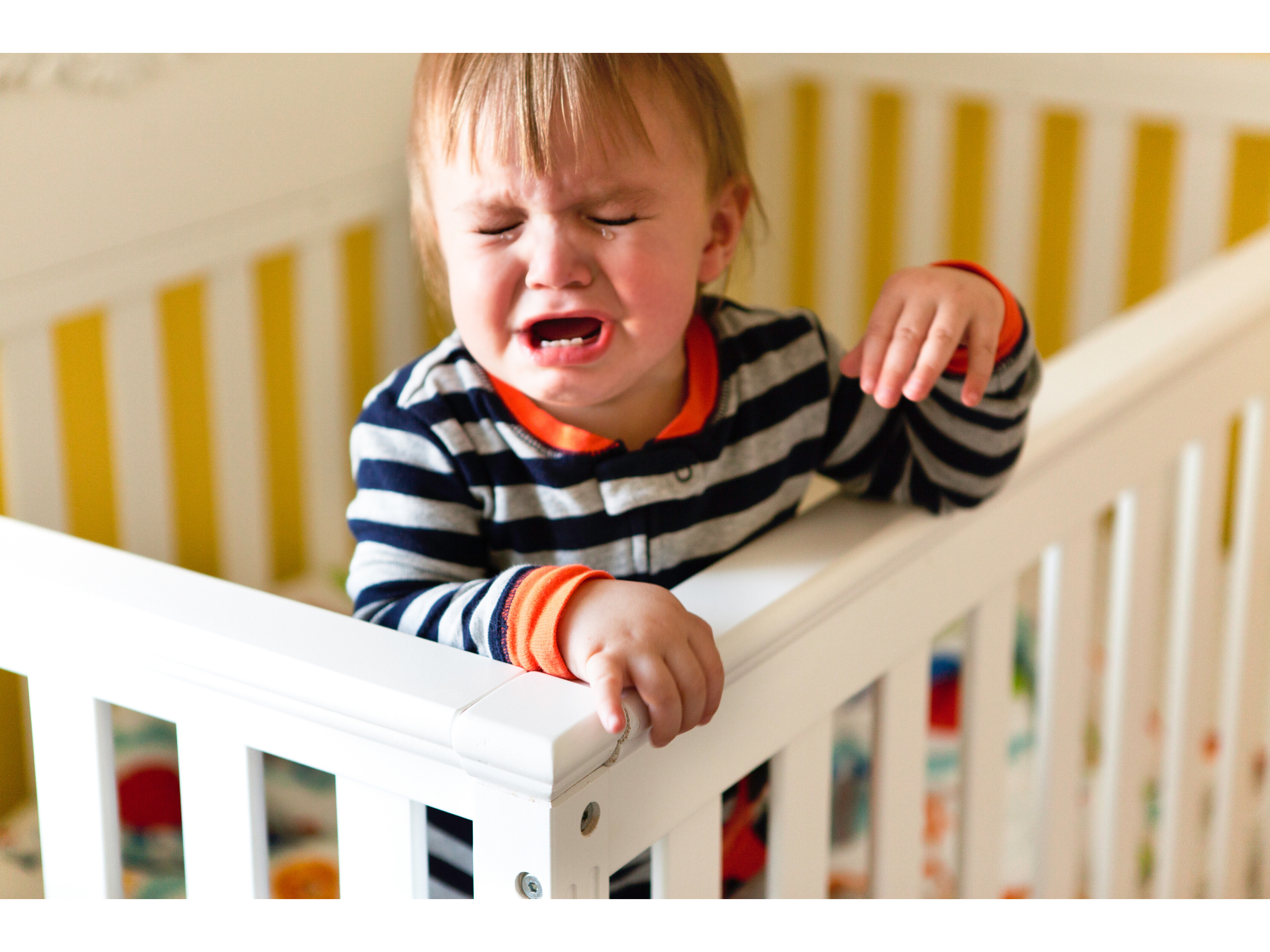The secret behind your toddler’s ‘bad’ behaviour!
